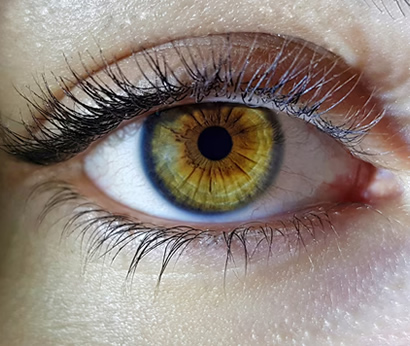 Informações sobre saúde ocular